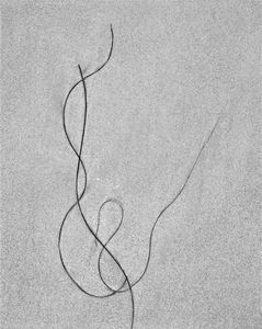 Sea Etching 61