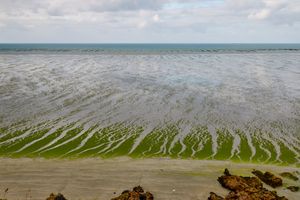 baie de Saint Brieux