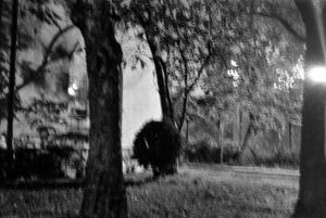 Júlio de Matos at night