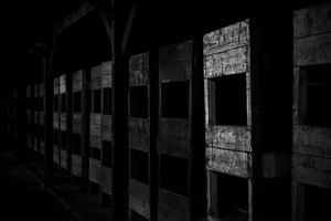 Wooden Beds, Birkenau, Poland