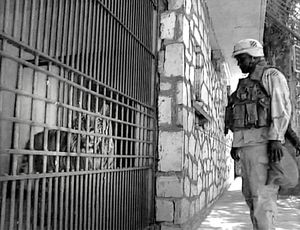 Baghdad, Iraq (2003).  Two very deadly creatures - a Siberian tiger and a human soldier - both somehow out of place.  (A US Marine guards a tiger that had belonged to the eldest son of Saddam Hussein, Uday)