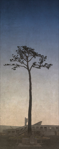 The “Miracle Pine”