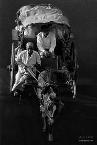 An evening tanga ride | New Delhi, India.
