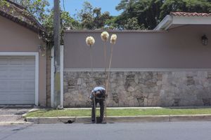 El Salvador