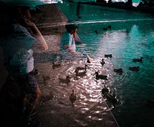 Lost in children's fantasy