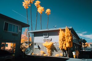 CALIFORN-IR