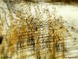 Golden Hour I.  Memory Landscapes series. 2020.