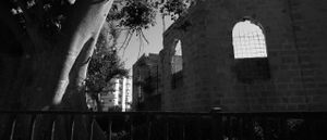 jaffa bat-yam 1