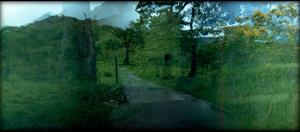 Untitled, from the "when the evidence of our tears were reborn as..." series