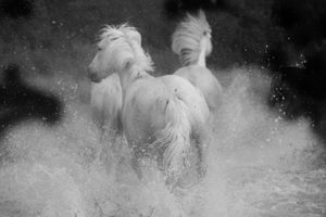Angels Running