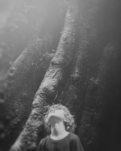 Knuckles of a Tree