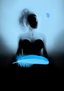 Black Swan night portrait