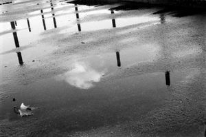 REFLECTIONS 07