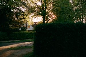 In My Hood #2