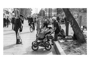 Walking Stick in Baby Carriage, Adapazarı, Sakarya, 11.11.2017