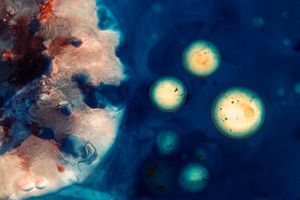 Other Worlds