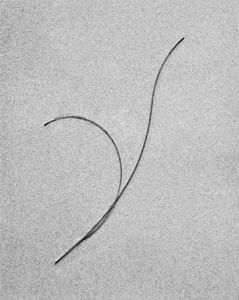Sea Etching 37