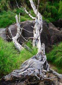 Honokahua Preservation Site, Maui, HI