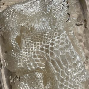 Snakeskin In Jar
