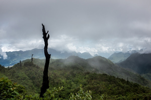 Our Mother The Mountain