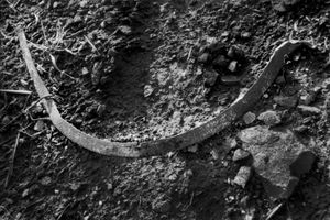 Dead Alentejo