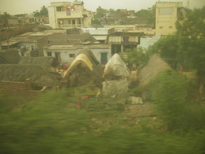 ORISSA ELLEGY 003