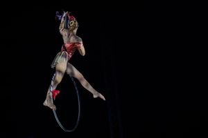 Aerial Art - Elegance - Lucioza