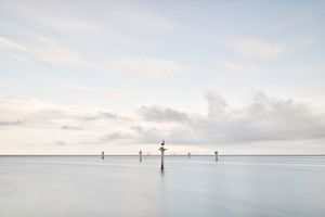 Almost White © Jorge De La Torriente