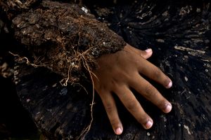 ANTHROPOGENIC 006
