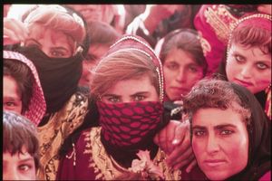 Syria nomads