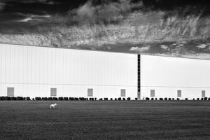 Markham, Ontario, 2016