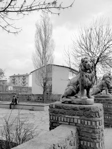 Lions of Kars.