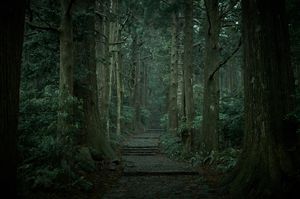 The entrance of Kumano Nachi shrine