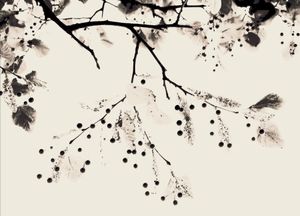 Trees 13