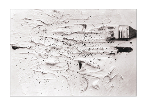 'Dictadura' :: Sequence 8/8
