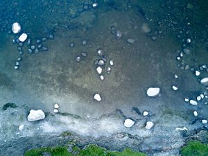 Shoreline