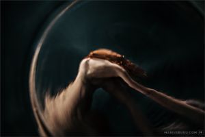 Phantasmagoria 09