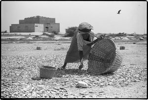 Drying fish on beach, Mbao, Mali          © Betty Press