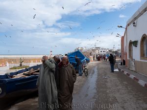 Essaouira (Morocco)