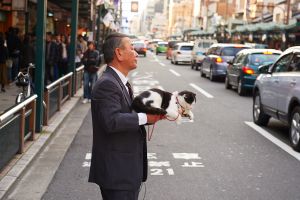 Japan Street Photography-Man and Cat crossing the street