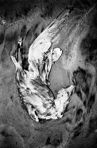 Untitled 07, from the series "Swell" © Mateusz Sarello