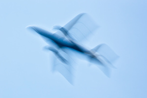 FLIGHT #D31584