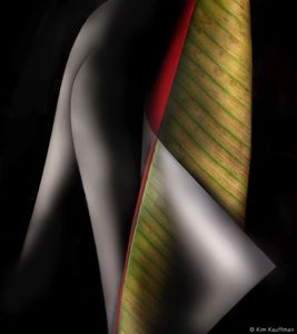 Confluence 13 © Kim Kauffman