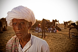 Camel Herder