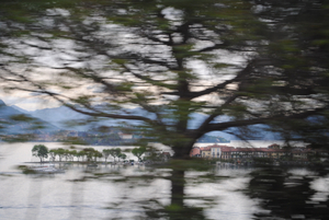 An island from the train