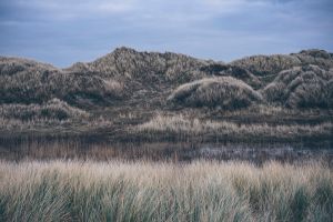 Die Dünen