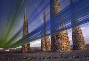 Afrikaburn Festival. South Africa.