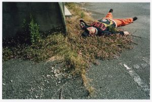 Onahama / Iwaki City, Fukushima, 2013