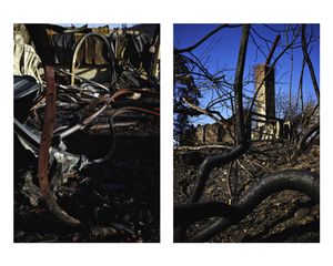 Portraits of a fire / Retratos de un incendio