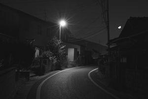 Scenery with the way of the hometown Ⅳ
